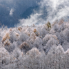 雪化粧