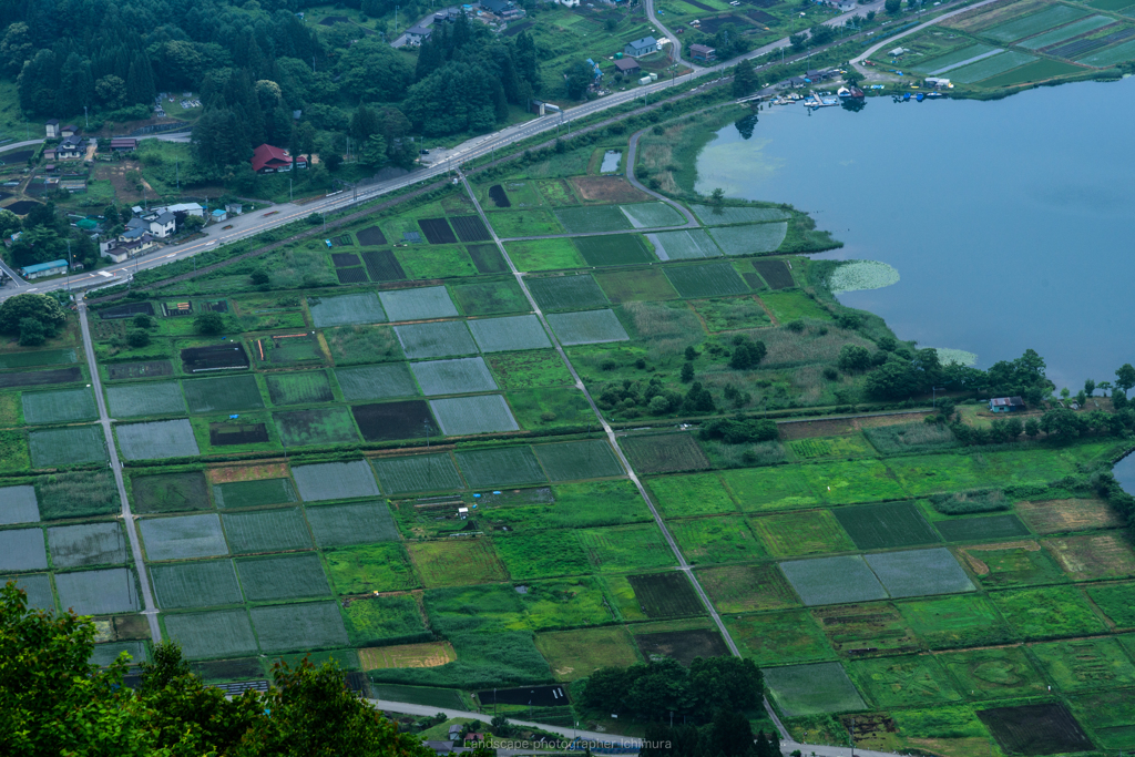 見下ろす田園風景