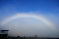 Circle Fog 1