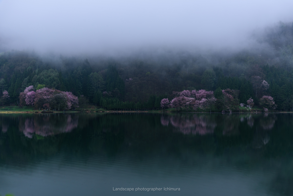 朝霧立ち込め