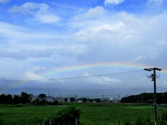 雨上がり