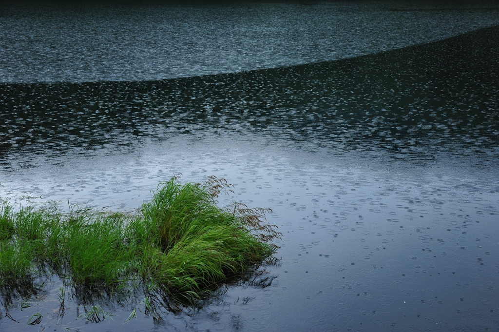 雨音