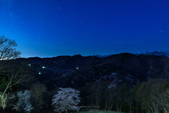 未明の桜仙峡