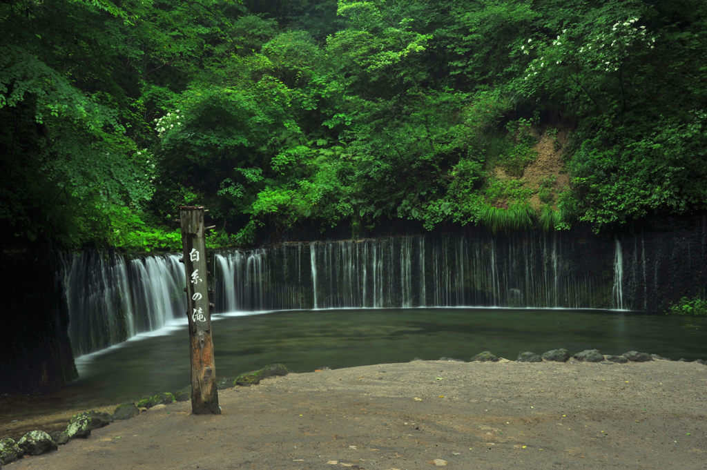 ご案内「白糸の滝」