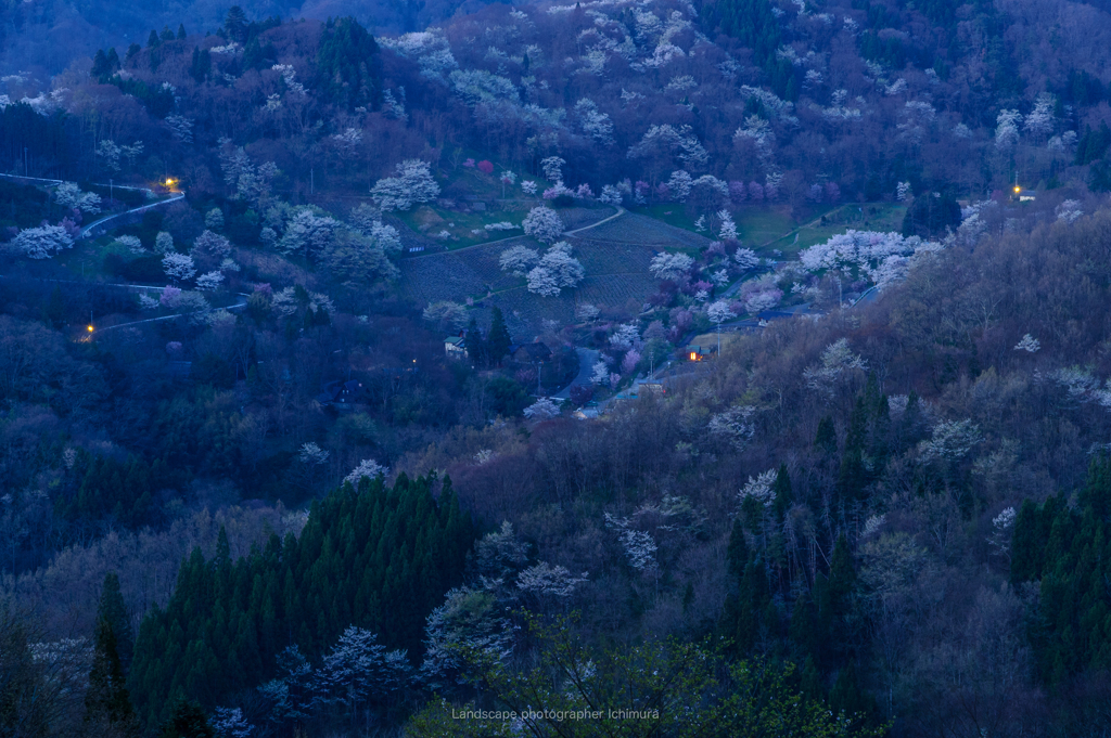 山桜の里＜夜明け前＞