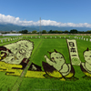 田んぼアート