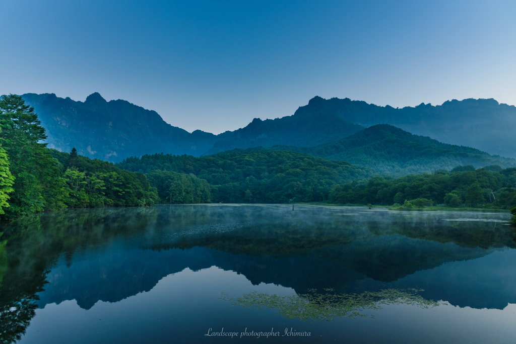 夏の朝