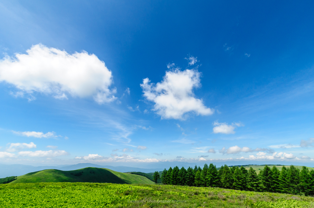 夏空