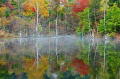 まいめの池紅葉