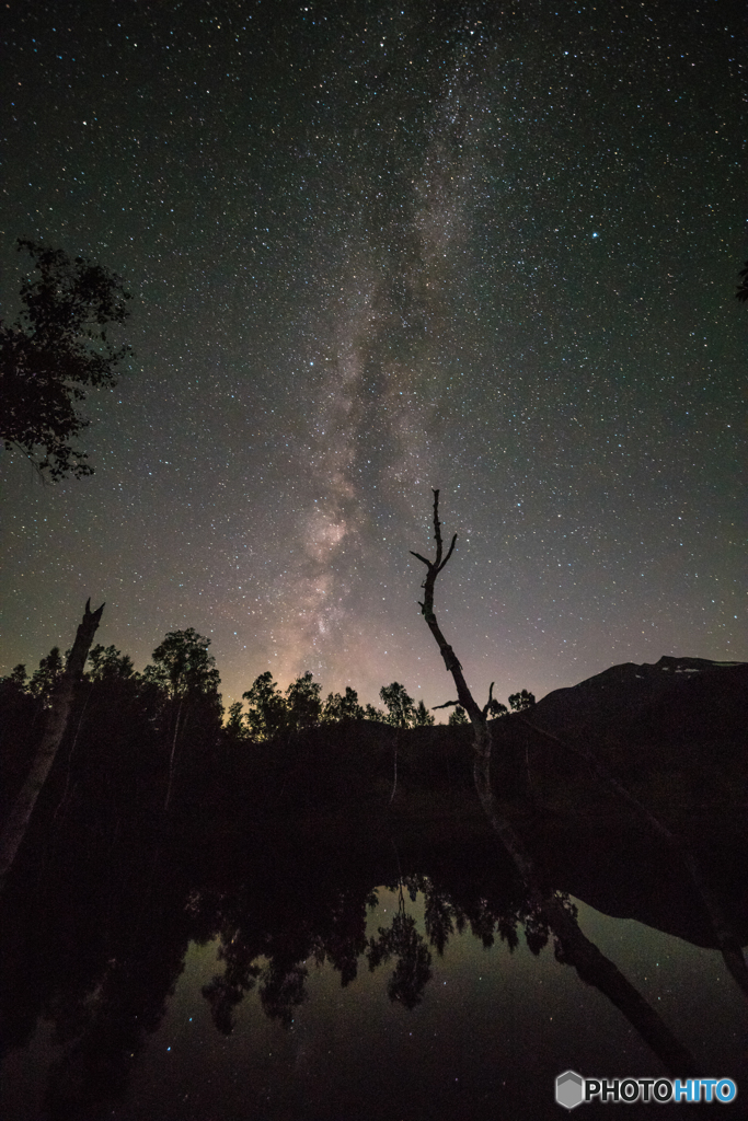 木々も仰ぐ星空