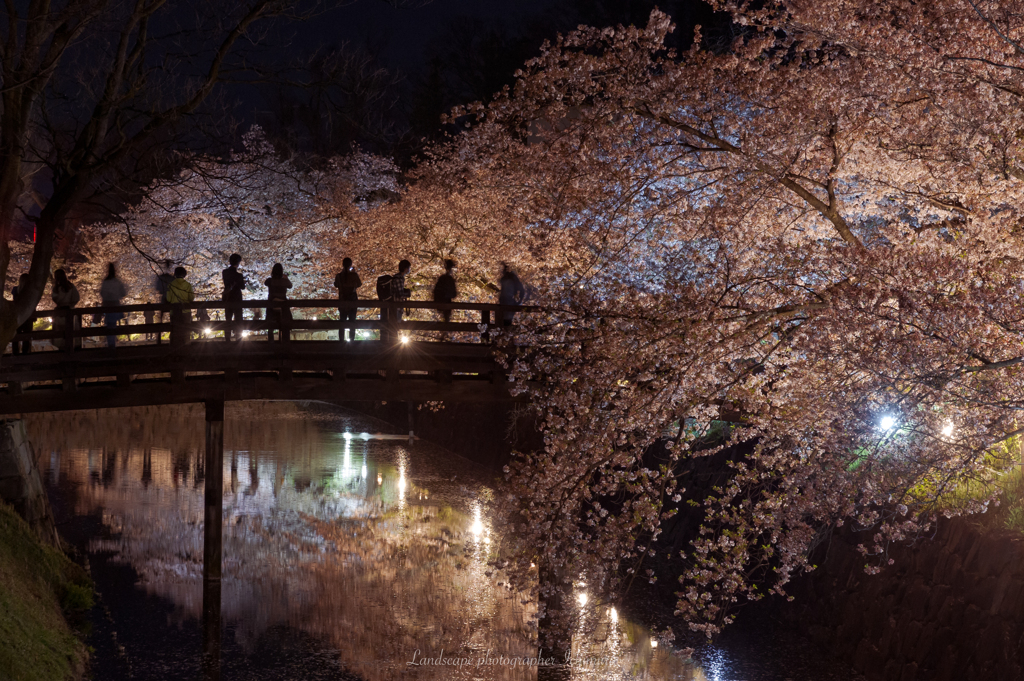 夜桜会