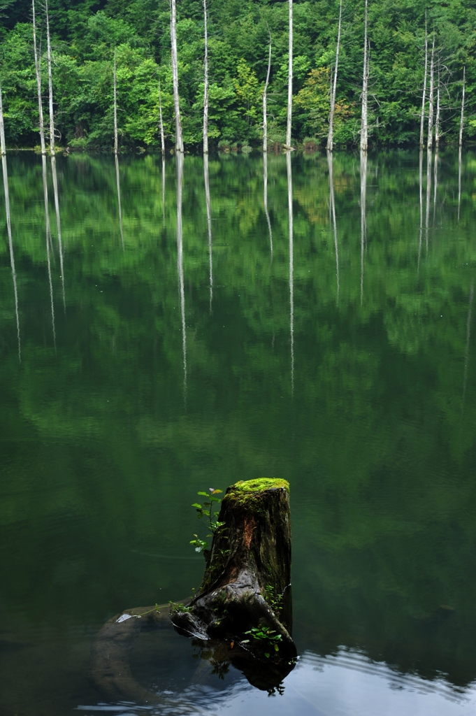 自然湖寸景