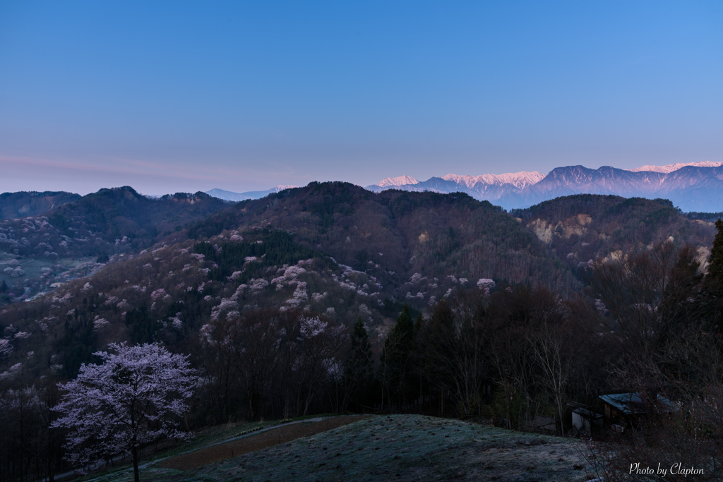 桜仙峡ビュー＜アルプスの夜明け＞