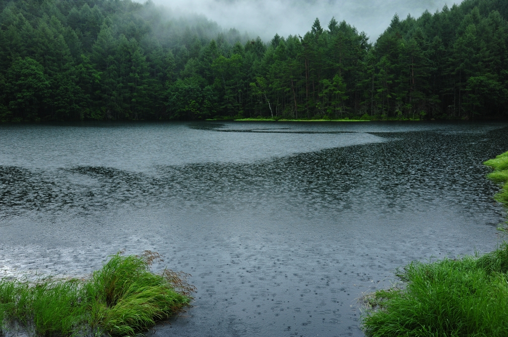 雨に煙る