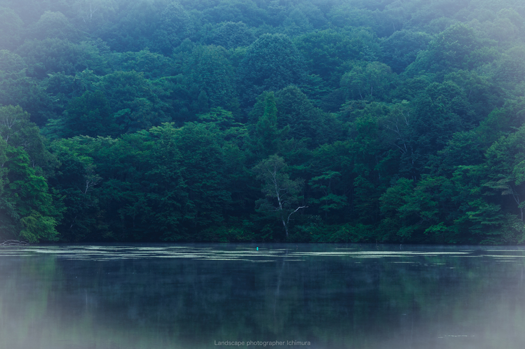 Deep green