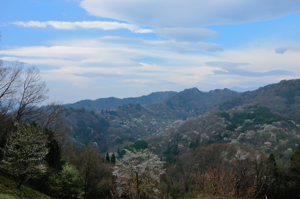 ちょっと覗いた青空！