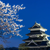 桜咲く