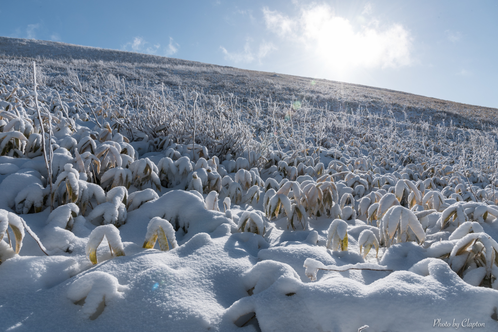 積雪