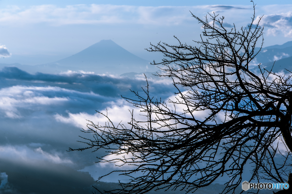 朝のMt.Fuji