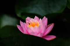 活動開始