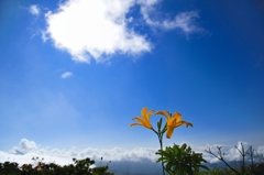 霧ヶ峰夏空