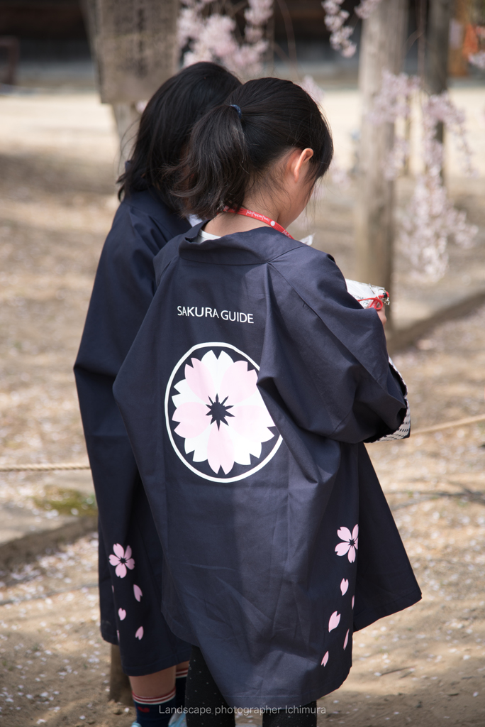 SAKURA GUIDE