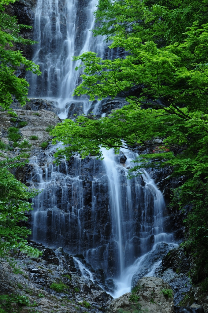 唐沢の滝（中段）