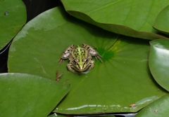 一休み