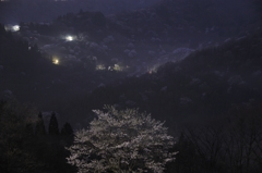 暗闇に浮かぶ桜仙峡#2