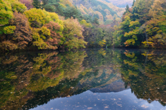 帰り道での・・・Ver.2
