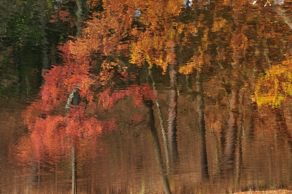 Oil painting style #2