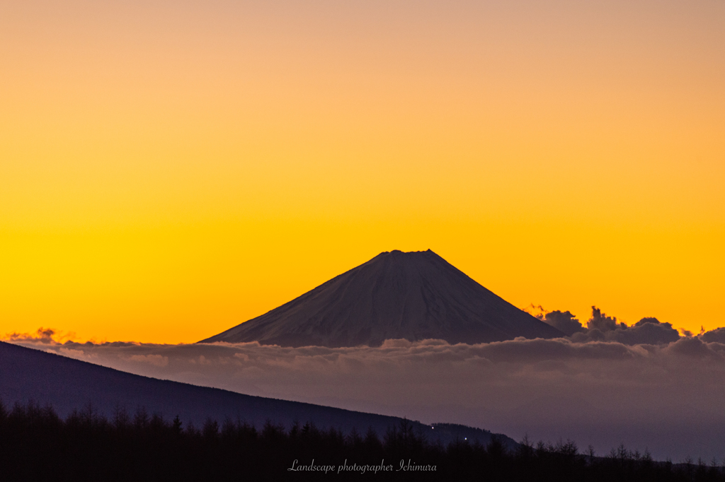 Yellow Sky