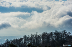 迫力の雲海