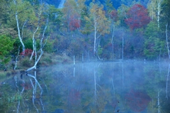 まいめの池紅葉（日の出前２）