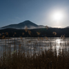 朝陽に照らされ