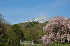 御嶽山　春