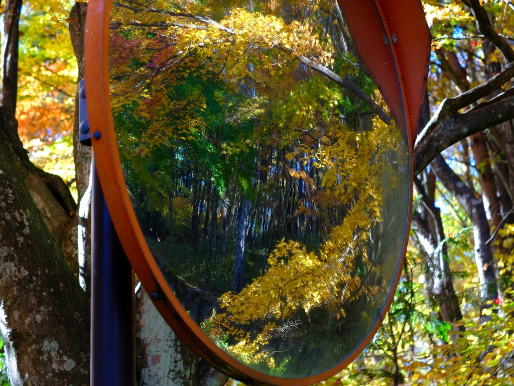 鏡も紅葉