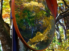 鏡も紅葉