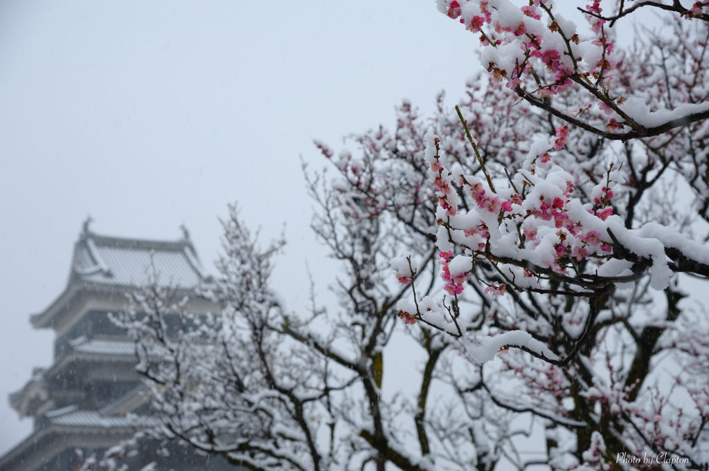 雪化粧