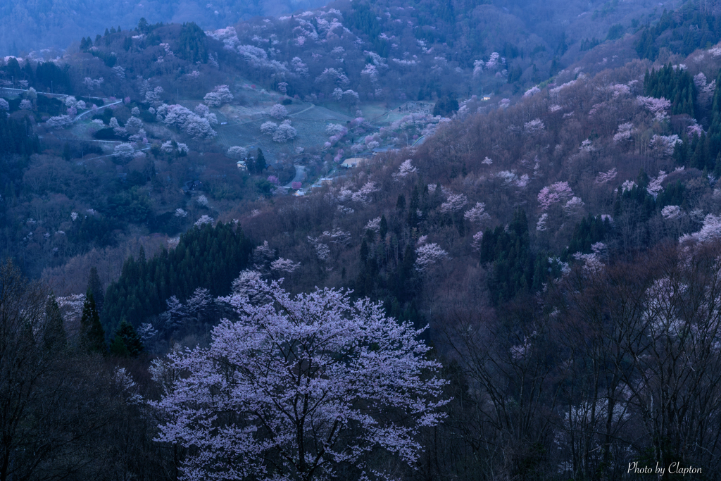 夜明け前