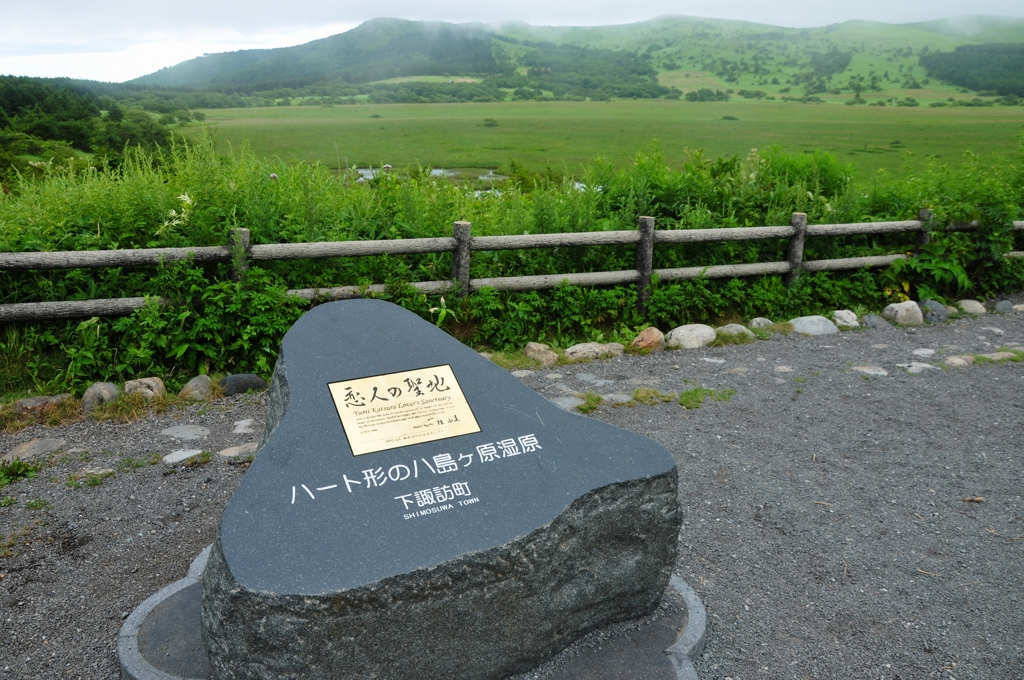 八島湿原「夏」