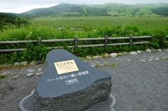 八島湿原「夏」