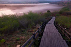 湿原へ続く・・・