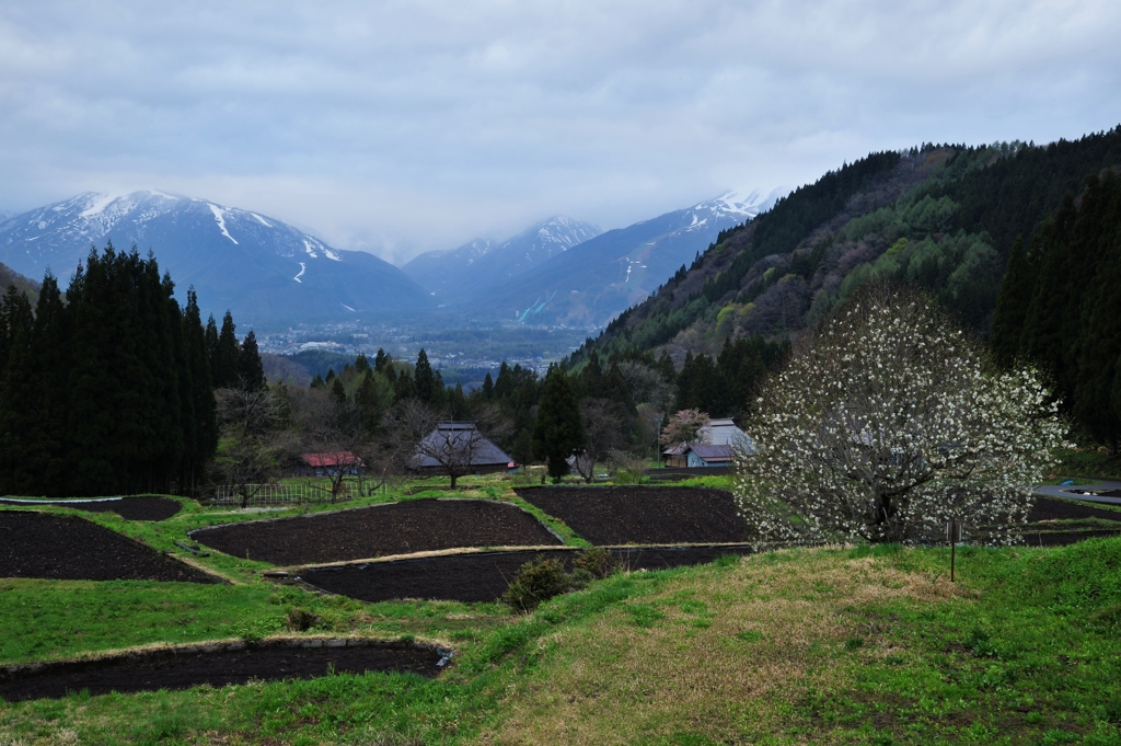 山村の春