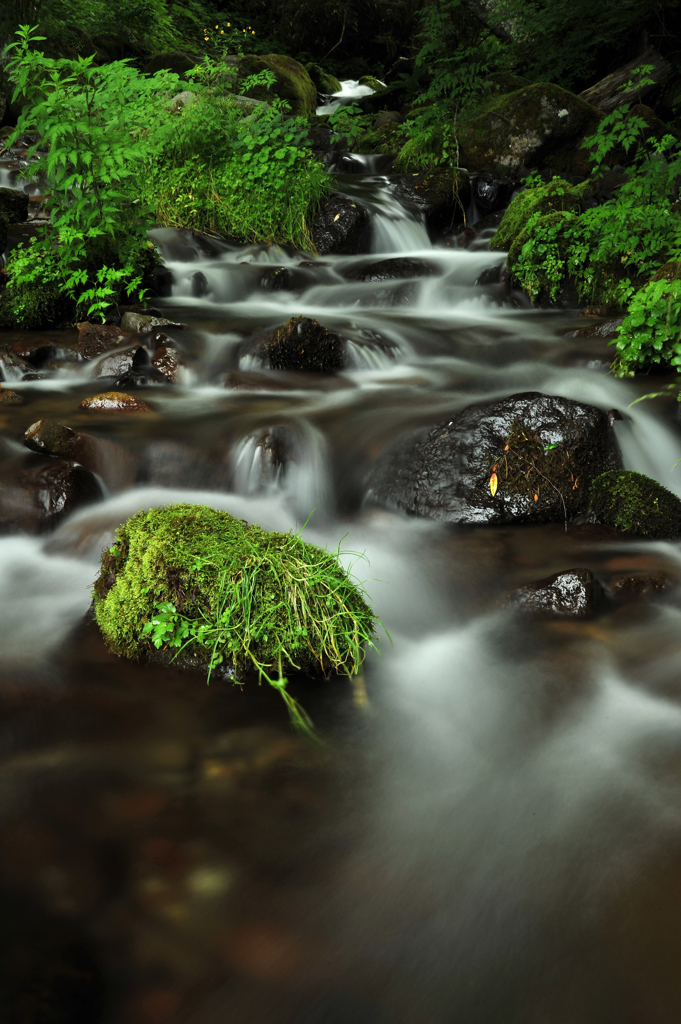 名も無き渓流