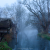 朝霧に覆われて