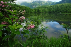 花咲く湖畔