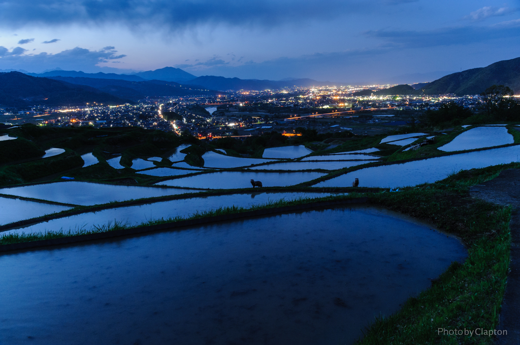 棚田夕景＜思わぬ珍客＞