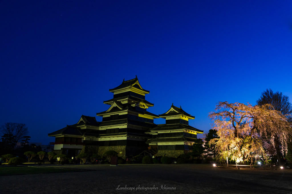 夜桜会