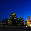 夜桜会